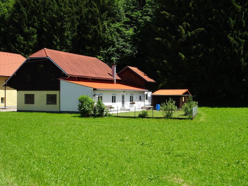 Haus Im Gruenen - Gmundennaehe Pinsdorf Bagian luar foto